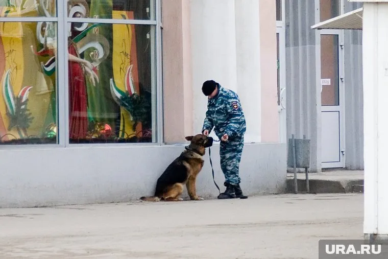 В торговых центрах кинологи ищут подозрительный бесхозный предмет