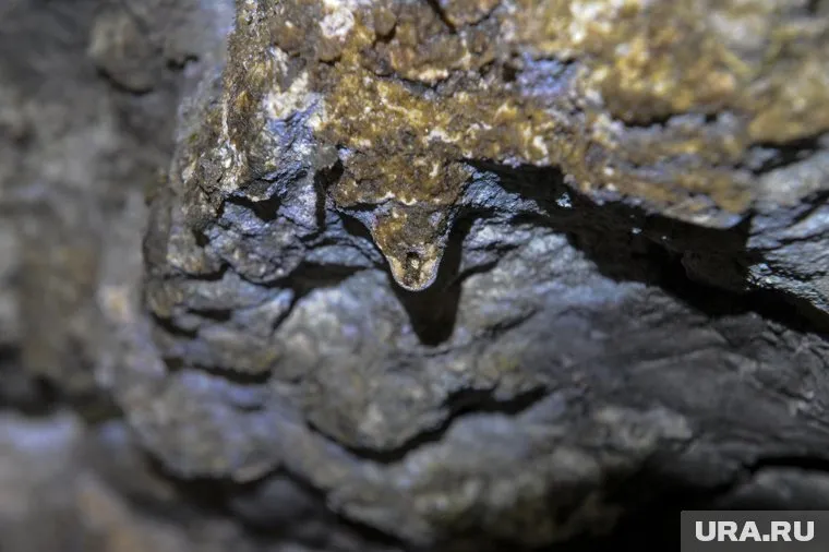 Мечкинская пещера находится примерно в 20 километрах к северу от города Кунгур, на левом берегу реки Мечки