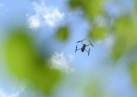 Фотография из галереи