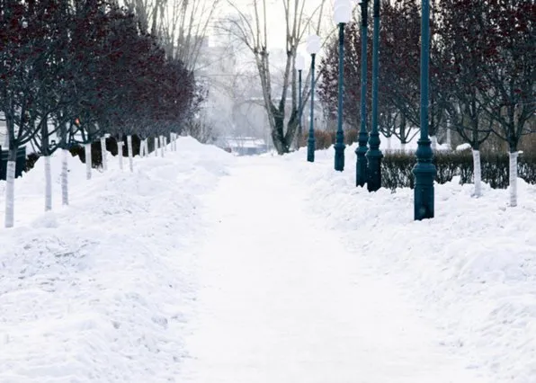 Фотография из галереи