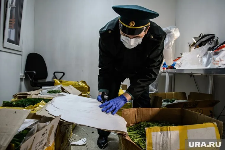 Контрафакт на 22 млн рублей везли из Киргизии в Москву