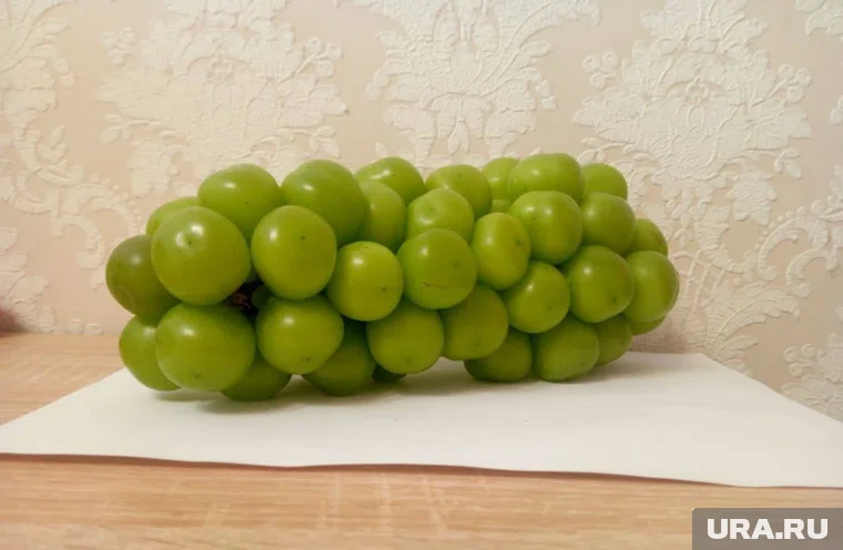 Ягоды без косточек поражают своими размерами и ценой