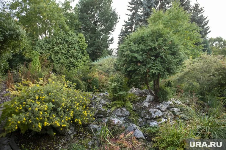 Находки станут частью актуальной Красной книги Среднего Урала