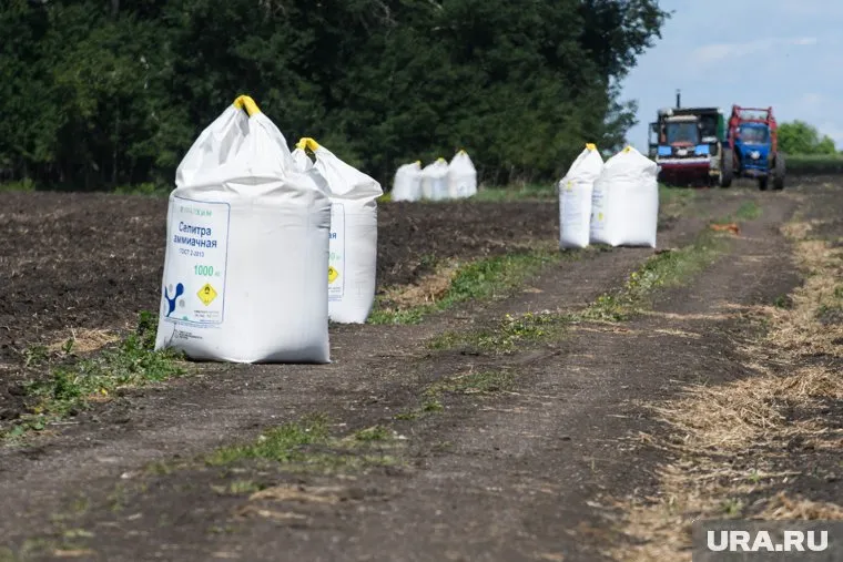 Россия была вынуждена ограничить поставки удобрений за границу, отметил Денис Мантуров