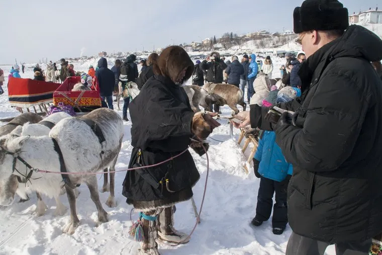 День оленевода.Салехард. 24 марта 2018 г, день оленевода, кмнс, оленевод