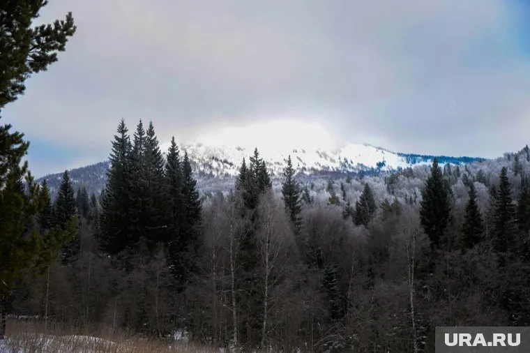 Явление заметили в нацпарке "Зигальга" в Катав-Ивановском районе (архивное фото) 