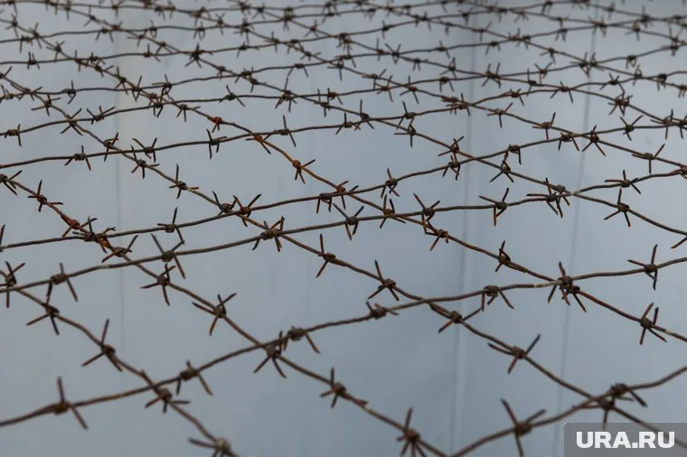 Одного из торговцев отправили в колонию на семь лет, другого — на четыре года