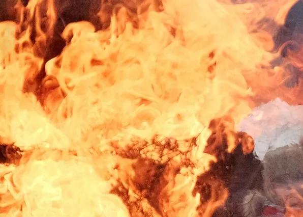 Фотография из галереи