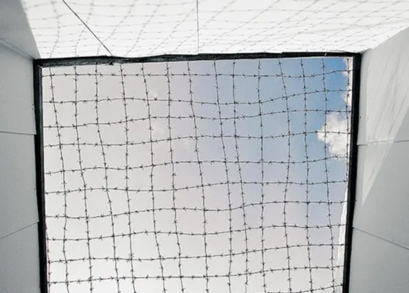 Фотография из галереи