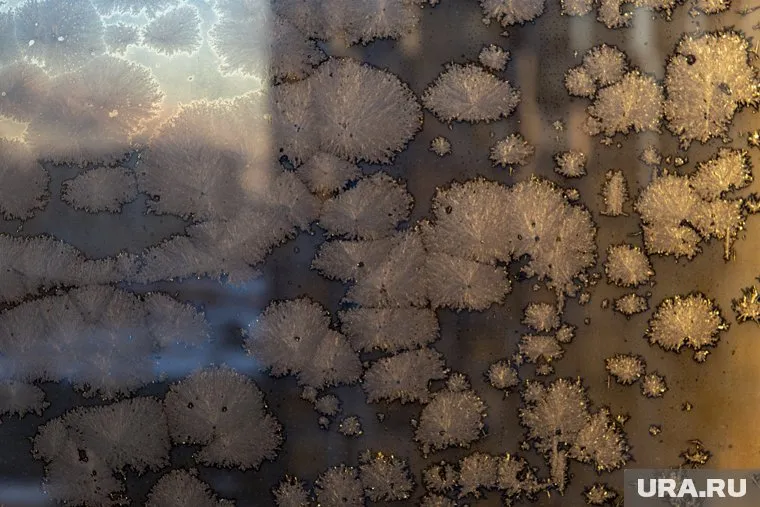 В ЖК комфорт-класса окна покрыты снегом изнутри