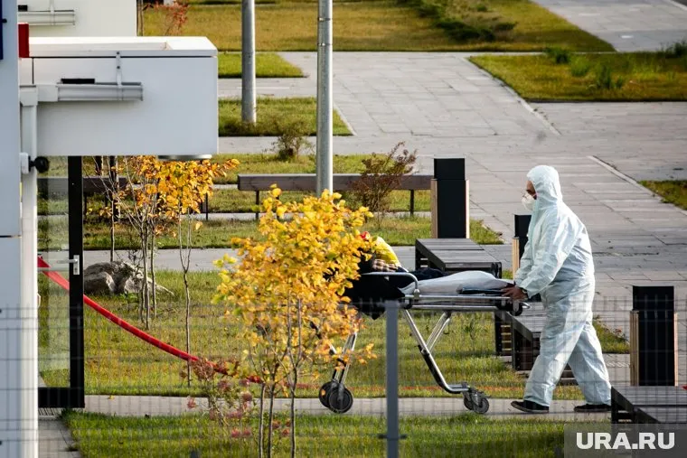 Число смертей от коронавируса в РФ за сутки упало