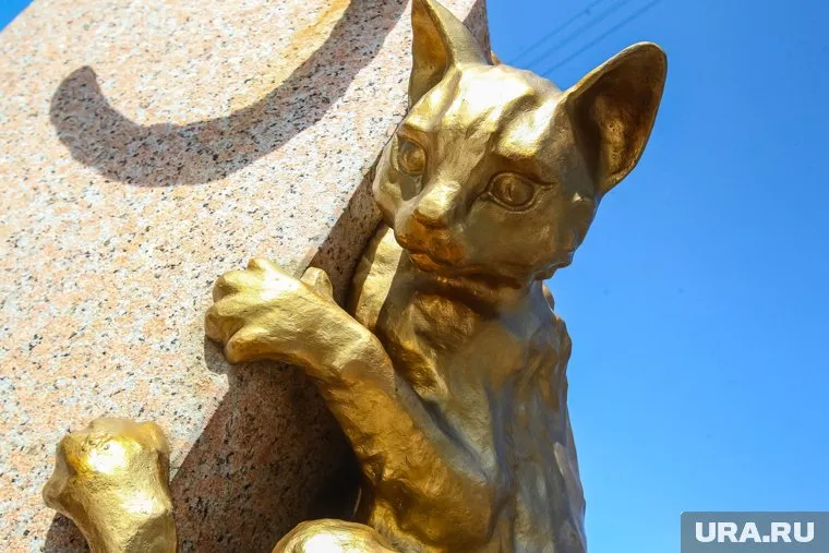 Тобольская ритуальная компания озаботилась захоронением домашних питомцев