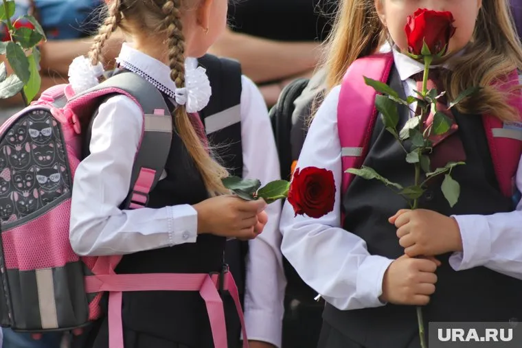 Начало учебного года, вероятнее всего, пройдет в очном формате