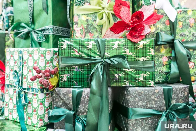 Светлана Пескишева намекнула, что малоимущие семьи не смогут получить подарки для детей от соцзащиты