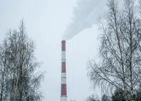 Фотография из галереи