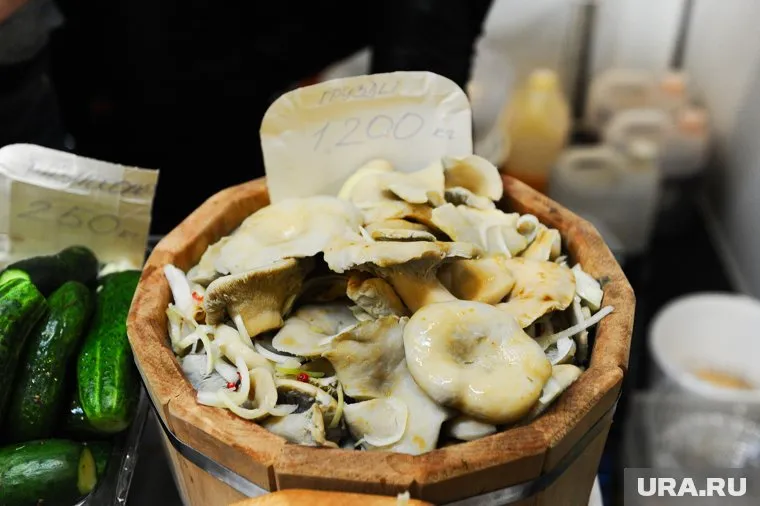 Челябинцы начали делиться фотоснимками урожая груздей