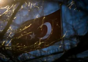 Фотография из галереи