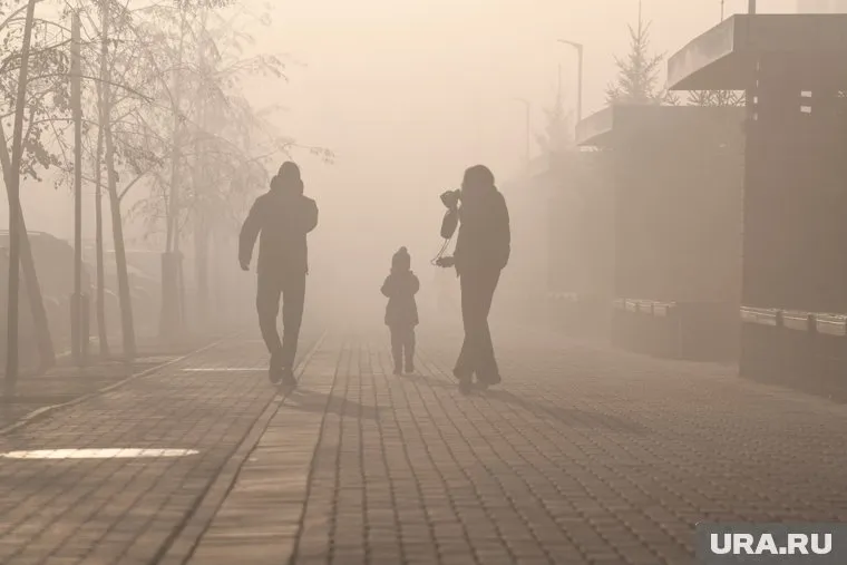 Воздух Екатеринбурга оказался загрязнен из-за пожаров на торфянниках