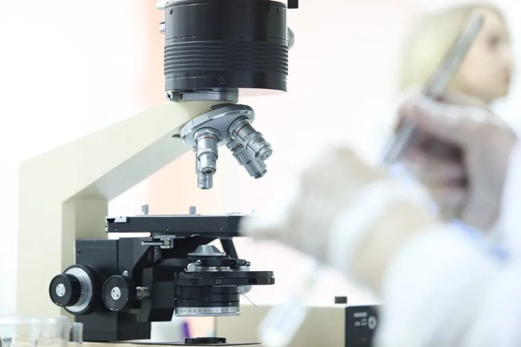 КГСХА. Агрономический факультет. Микроклональное размножение картофеля. Курган