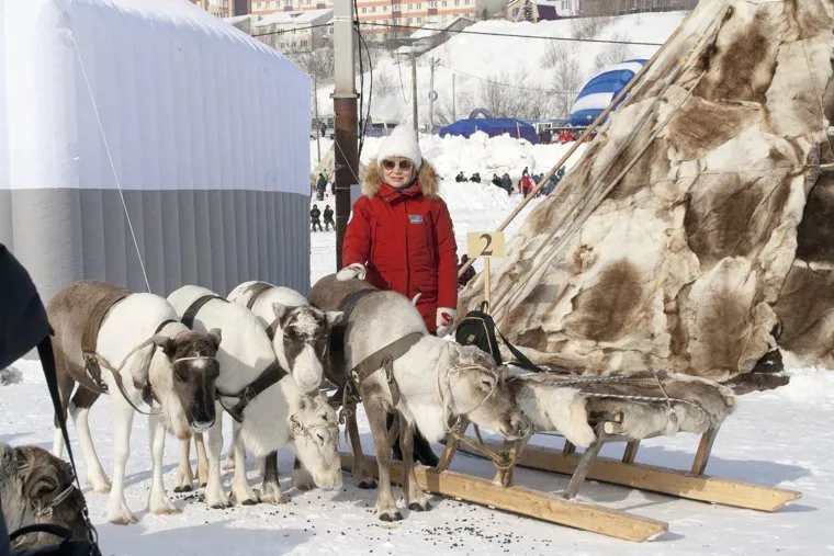 День оленевода.Салехард. 24 марта 2018 г