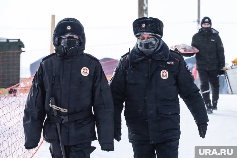 Житель Надыма напал на полицейского, но отделался штрафом