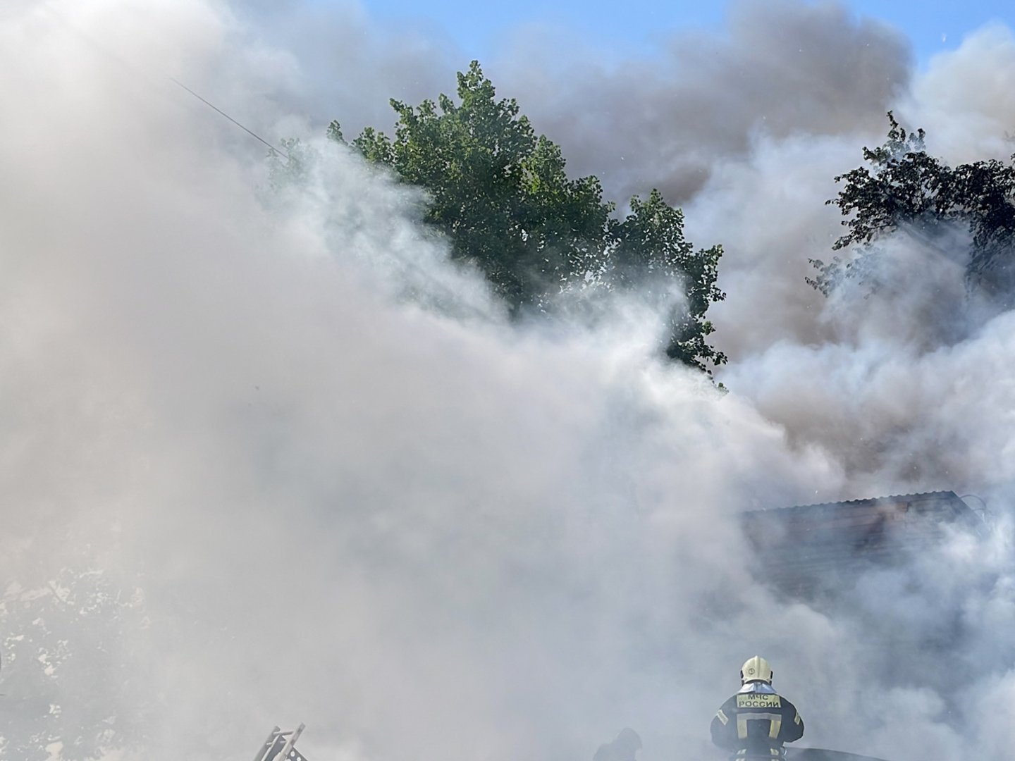 табиғатта үлкен сиськи бар жетілген