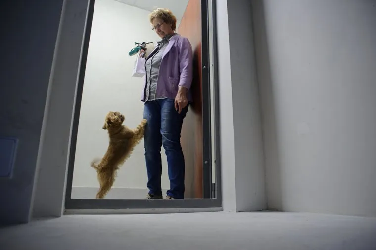 Открытие ЖК "Пионер". Екатеринбург