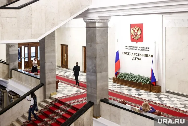 Первый заместитель председателя комитета Госдумы по просвещению Берулава считает, что директору нужно выписать предупреждение, но не увольнять