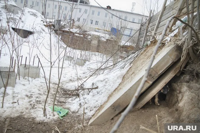 Избавиться от щенков приказала мама девушки