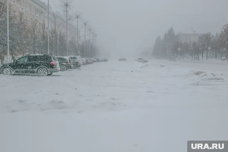 В регионе прогнозируются порывы ветра до 20 м/с