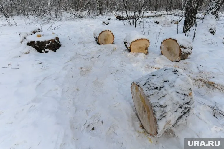 Суд обязал мужчину возместить нанесенный ущерб