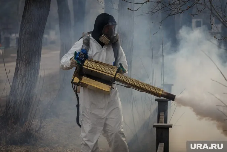 От клещей планируют обработать 113 общественных территорий Кургана