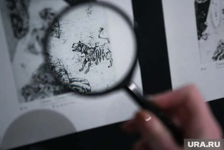 Экспонаты можно рассматривать через лупу — она лежит рядом с гравюрами