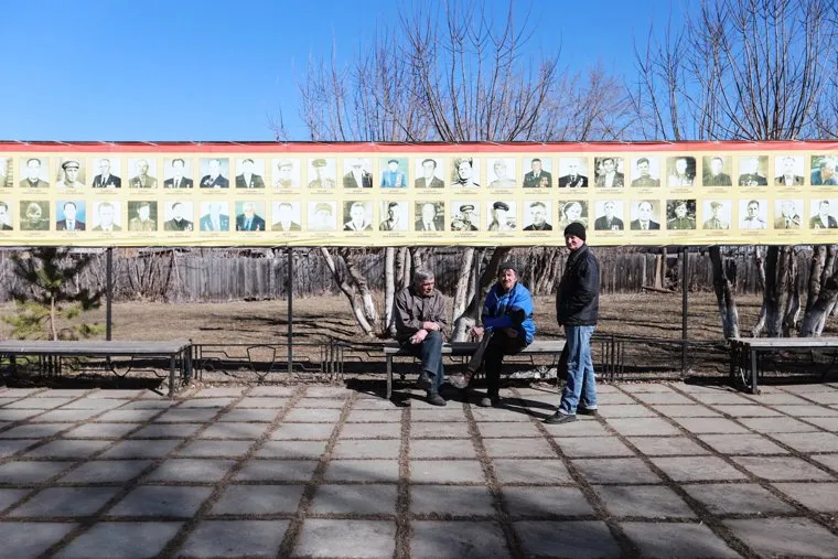 Шум шатрово необр