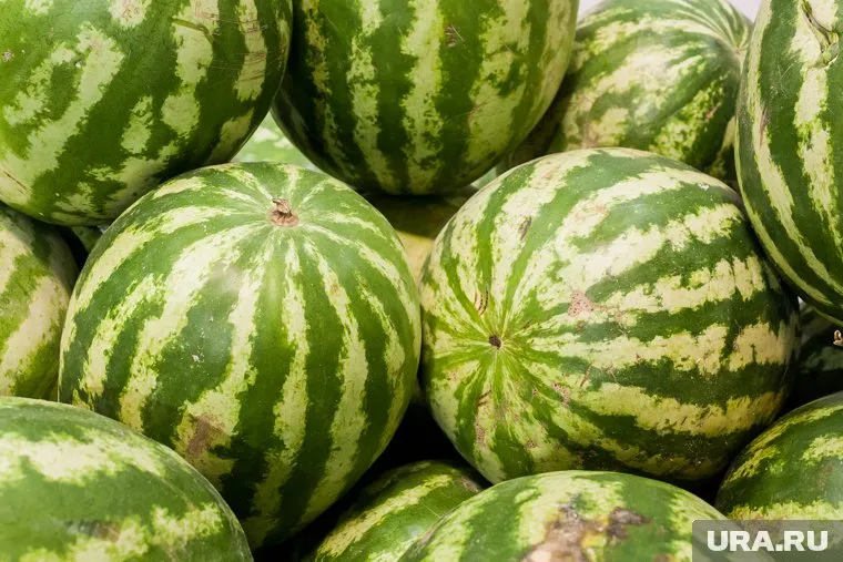 Изначально арбузы не вызвали подозрений у покупательницы