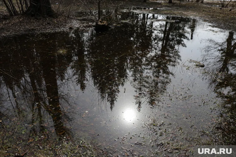 Прогноз космической погоды на 15 октября 2025