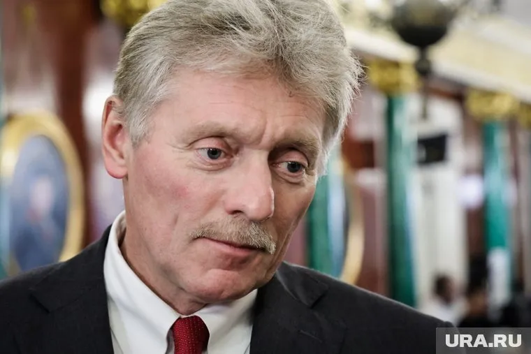 Обычные немцы заметили бы российские дроны в небе, заявил Песков