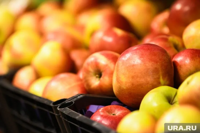 В яблоках нашли пестициды