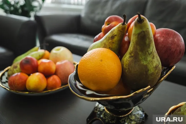 Узбекистан и Челябинская область будут развивать туризм