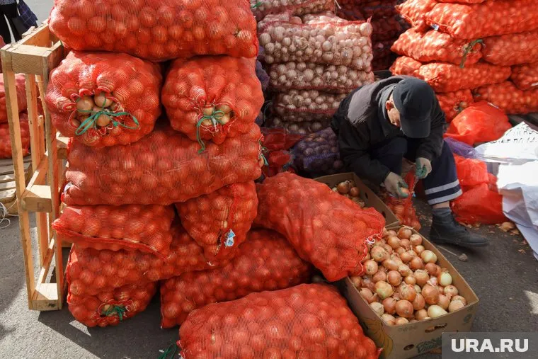 Курганцы не знают куда пристроить излишки урожая