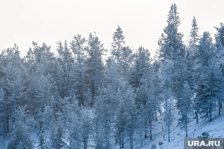 Эвакуированных из Китая россиян поселят в санатории под Тюменью