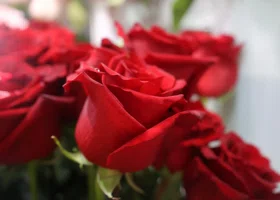 Как политики из ХМАО поздравили женщин с Днем матери