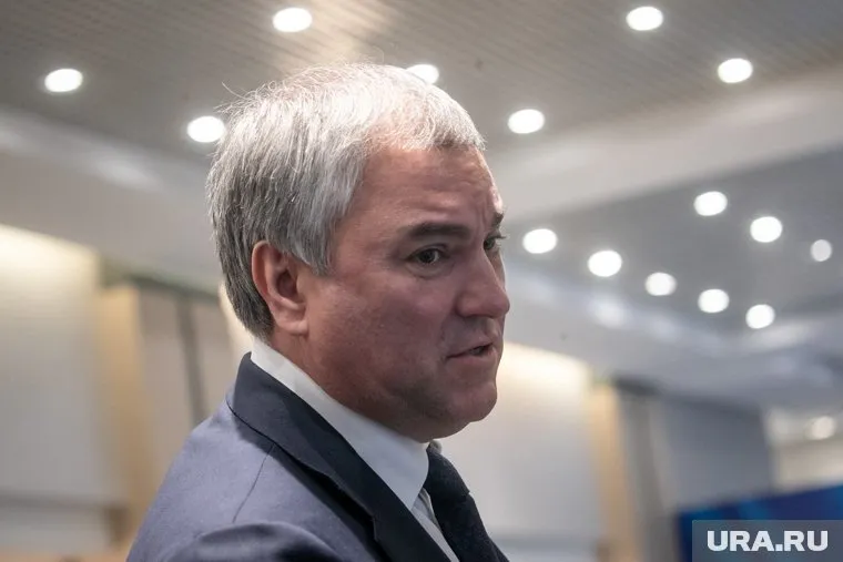 Вячеслав Володин посоветовал коллегам по Госдуме оставаться дома
