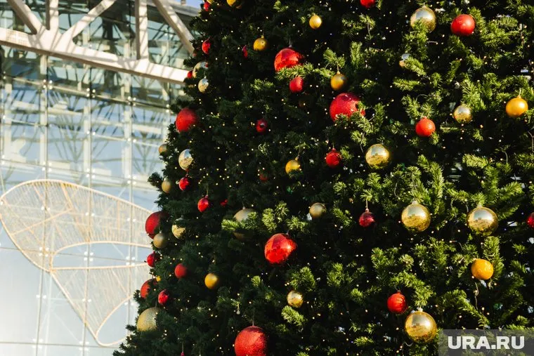 На празднование Нового года россияне потратят более 30 тысяч рублей