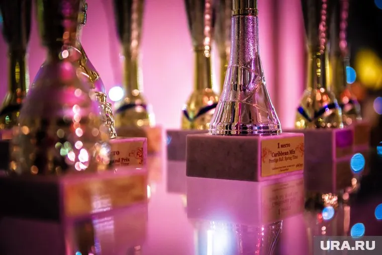 В Ноябрьске выбрали лучших представителей сферы физкультуры и спорта (фото из архива)