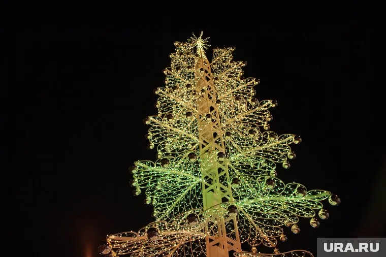 Россиянам предлагают сделать предновогоднюю неделю выходной, это касается семей мобилизованных граждан