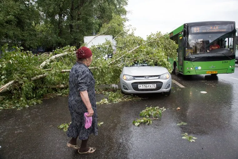 Упавшие деревья после урагана. Тюмень, упавшее дерево, дерево упало на машину