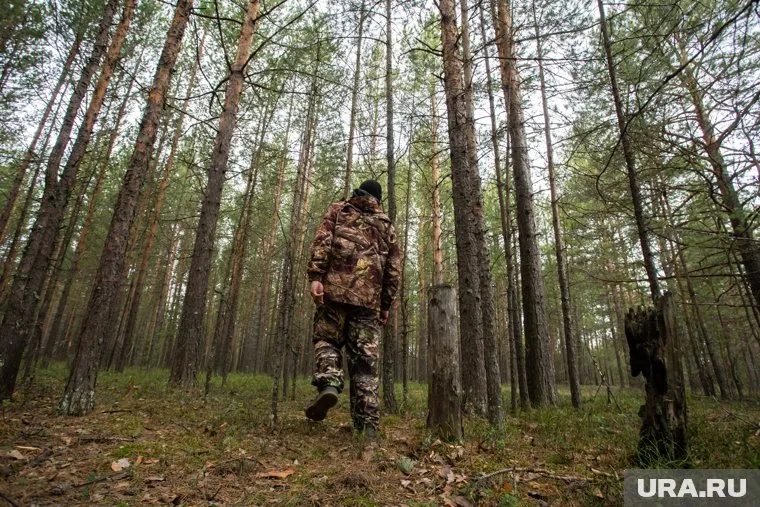 В деревне Речкина 7 октября пенсионер ушел в лес и пропал
