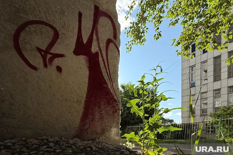 Курганский Бэнкси оставил объяснение своей работы на крыше жилого дома (архивное фото)