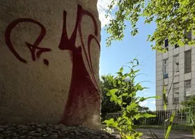 Курганский Бэнкси оставил послание с объяснением изображения кошек-чертей